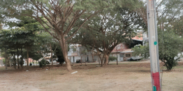 Los habitantes del barrio Buenos Aires piden que los tenganen cuenta