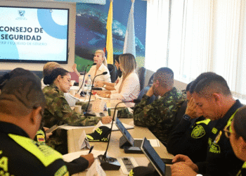 Gobernadora Dilian Francisca Toro presidió el Consejo de Seguridad del 2024