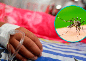 Sigue aumentando el dengue; los niños, los más vulnerables