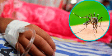 Sigue aumentando el dengue; los niños, los más vulnerables