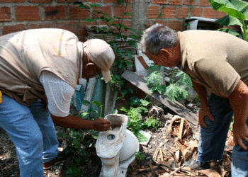 Zarzal y Roldanillo bajo amenaza; las dos localidades están entre los siete municipios con el mayor número de casos de dengue