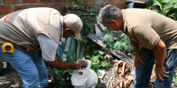 Zarzal y Roldanillo bajo amenaza; las dos localidades están entre los siete municipios con el mayor número de casos de dengue