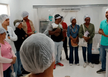 Apoyo a los productores agrícolas en Buga