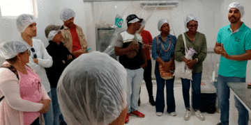 Apoyo a los productores agrícolas en Buga