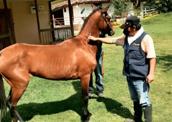 Continúan jornadas de salud animal en Riofrío