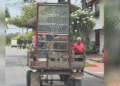 El peligro de las carretillas