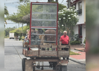 El peligro de las carretillas