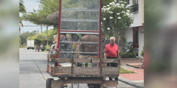 El peligro de las carretillas