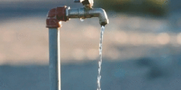 Freno al desperdicio de agua en el Valle; el Decreto lo firmó la gobernadora Dilian Francisca Toro