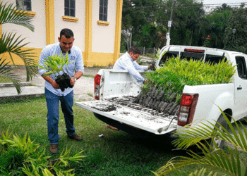 La Semana Santa, en clave de paz con la naturaleza