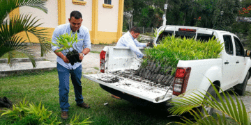 La Semana Santa, en clave de paz con la naturaleza