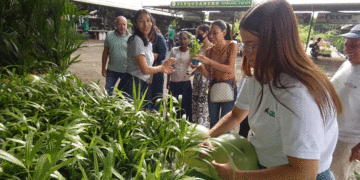 Una semana para orar y reflexionar; los templos católicos de Tuluá están listos para recibir a los fieles