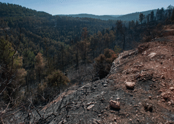 Quemas amenazan las zonas de reserva natural