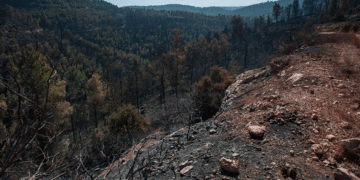 Quemas amenazan las zonas de reserva natural