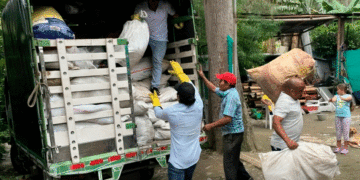 Acciones a favor del planeta en Buga