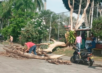 El llamado lo hace la comunidad de Bosques de Maracaibo