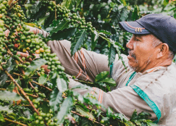 MinAgricultura gestionó propuesta para activar el Fondo de Estabilización