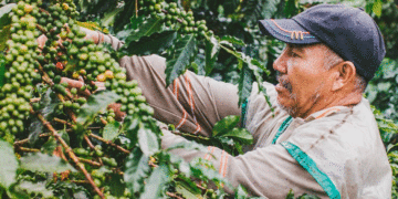 MinAgricultura gestionó propuesta para activar el Fondo de Estabilización