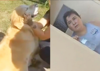 Mujer llevó a su perro a una carnicería para sacrificarlo: ‘Ya está en edad’