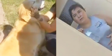 Mujer llevó a su perro a una carnicería para sacrificarlo: ‘Ya está en edad’