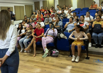 Apoyo a las mujeres cuidadoras; Iniciativa que busca generar ingresos desde la comodidad de sus hogares