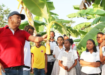 Alcaldía de Tuluá y Fedegán firman convenio; se fortalece la educación ganadera