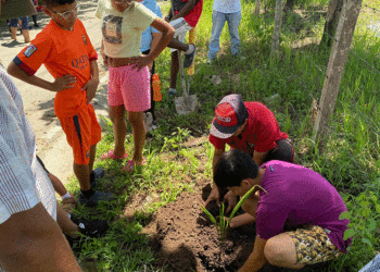 Apadrinan siembra de árboles en Bugalagrande