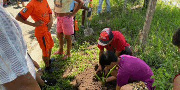 Apadrinan siembra de árboles en Bugalagrande