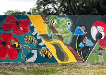 Arte que da vida; estudiantes hacen homenaje a fauna y flora de Colombia
