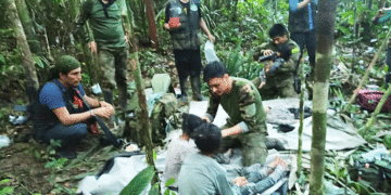 Así mantuvieron vivo al bebé de 11 meses que cayó en un avión, junto a sus hermanos, a la selva