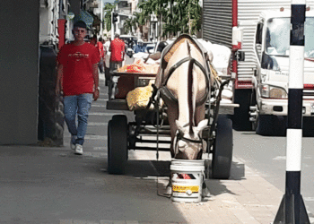 Estampa pueblerina; es urgente implementar el programa de restitución de vehículos