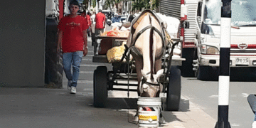 Estampa pueblerina; es urgente implementar el programa de restitución de vehículos