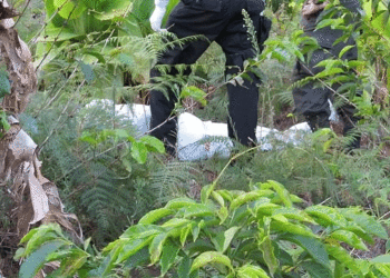 Estudiante es asesinado en el corregimiento de Aguaclara, Tuluá