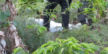 Estudiante es asesinado en el corregimiento de Aguaclara, Tuluá