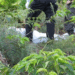 Estudiante es asesinado en el corregimiento de Aguaclara, Tuluá