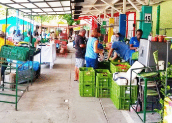 Los martes son del mercado campesino; una tradición de 24 años de trabajo ininterrumpido
