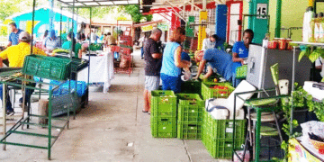 Los martes son del mercado campesino; una tradición de 24 años de trabajo ininterrumpido