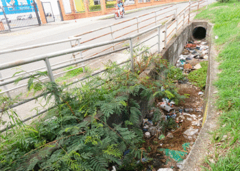 Más vale prevenir, que tener que lamentar. (Más Caucherazos aquí) 👇🏽 