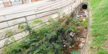 Más vale prevenir, que tener que lamentar. (Más Caucherazos aquí) 👇🏽 