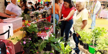 Festival de Sabores y Saberes Campesinos en el corregimiento de Salónica