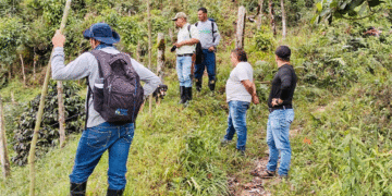 Cinco hectáreas serán utilizadas en procesos de compensación en siembra y reforestación