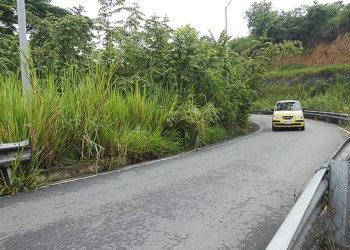 Cuidado les sale el tigre; son varias las zonas verdes que hoy necesitan atención por parte de la Alcaldía de Tuluá