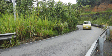 Cuidado les sale el tigre; son varias las zonas verdes que hoy necesitan atención por parte de la Alcaldía de Tuluá