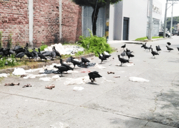 Una mala imagen para Tuluá