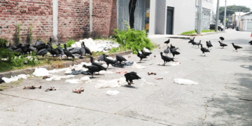 Una mala imagen para Tuluá