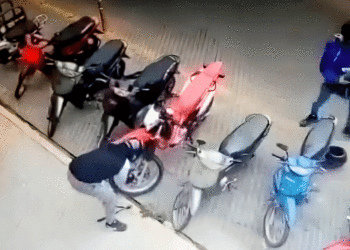 Robo de motos ha disminuido, pero no de papaya, no la deje abandonada