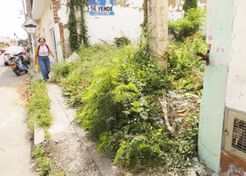 Este lote abandonado se ha convertido en guarida. (Más Caucherazos aquí) 👇🏽 