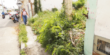 Este lote abandonado se ha convertido en guarida. (Más Caucherazos aquí) 👇🏽 