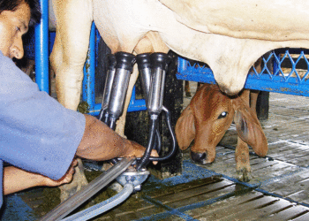 Colombianos ya no están tomando leche; el producto es vital para lograr una vida saludable