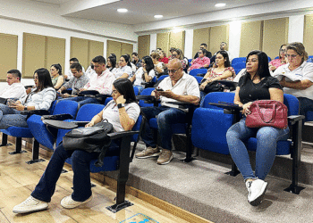 Consejo por la seguridad de la Mujer